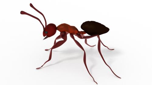 ANT preview image